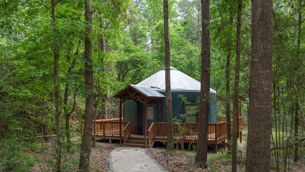 A cabin in a forest with a gravel path leading to it, surrounded by tall trees. - Close to nature, but with all the modern amenities, Two Creeks Crossing Resort (Livingston)