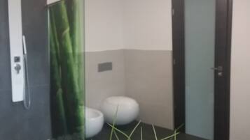 Shower, hair dryer, bidet, towels