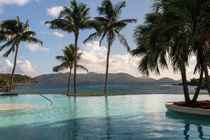 An infinity pool - SPECIAL SUMMER RATE 2 bedroom condo Ritz Carlton St Thomas - OCEAN VIEW July/Aug (St Thomas)