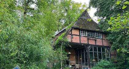 Nature and Calmness Lichtheideheim Hütte 2