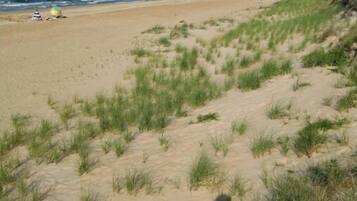 Ubicación a pie de playa, tumbonas y toallas de playa
