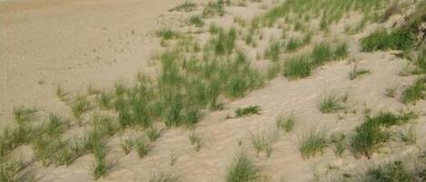 En la playa, sillas reclinables de playa, toallas de playa