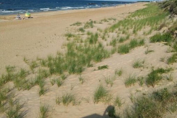 A la platja, gandules de platja i tovalloles de platja