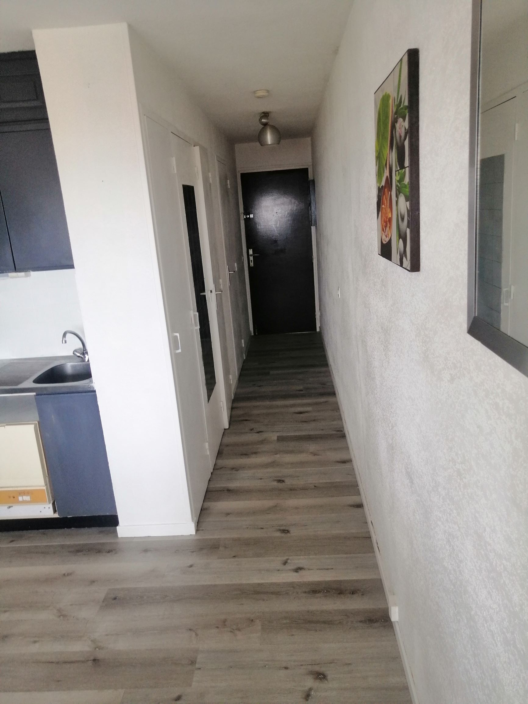 Um corredor estreito com piso de madeira, uma pia à esquerda e uma porta no final.