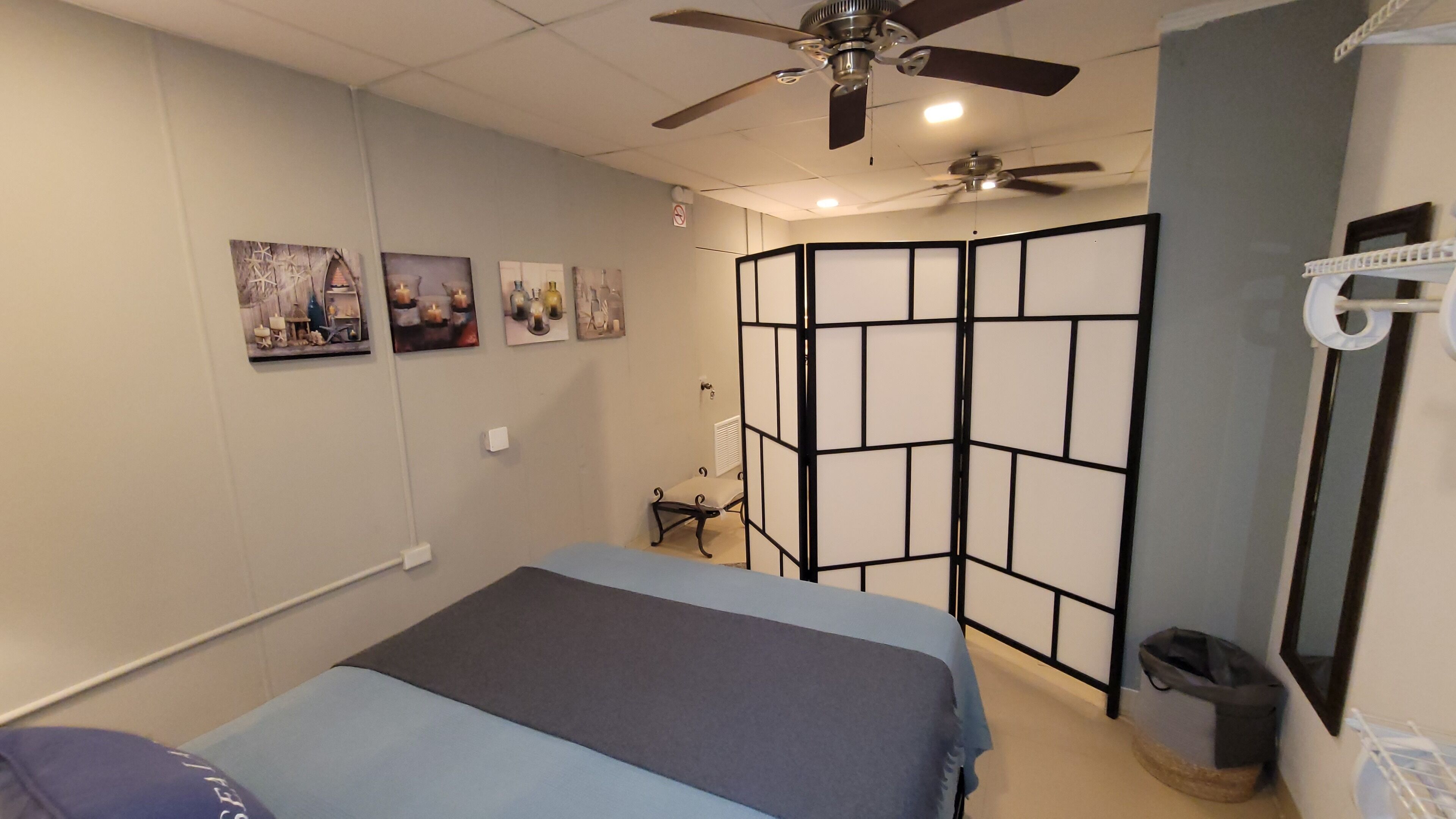 A bedroom with a bed, ceiling fan, wall-mounted artwork, and a partition wall.