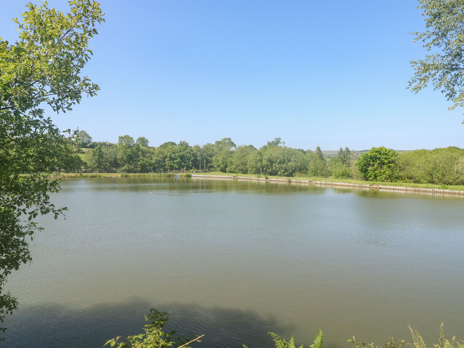 A calm lake with a wooden dock extending into the water, surrounded by lush greenery and trees.
