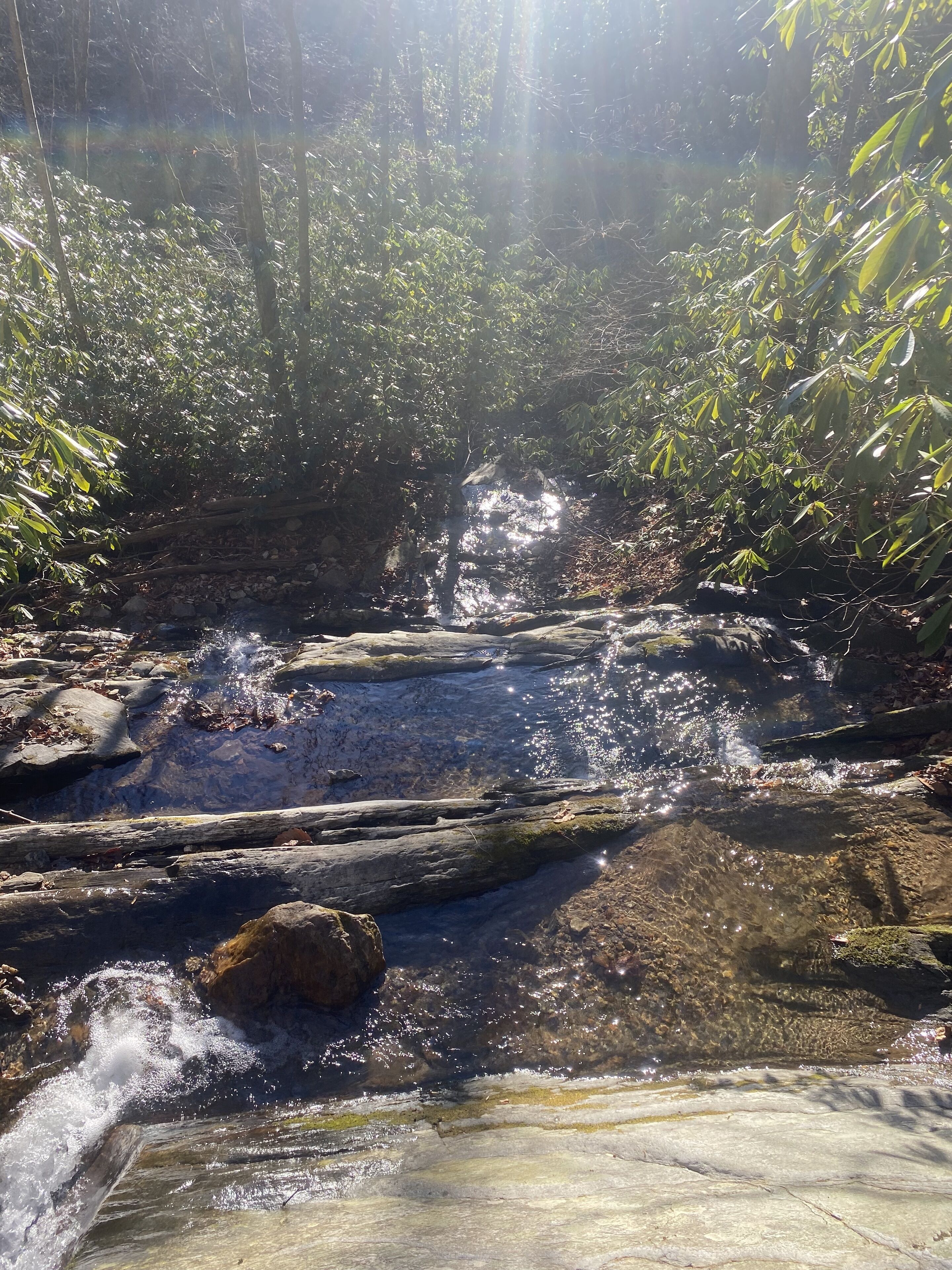 Un arroyo serpentea sobre rocas en un área boscosa.