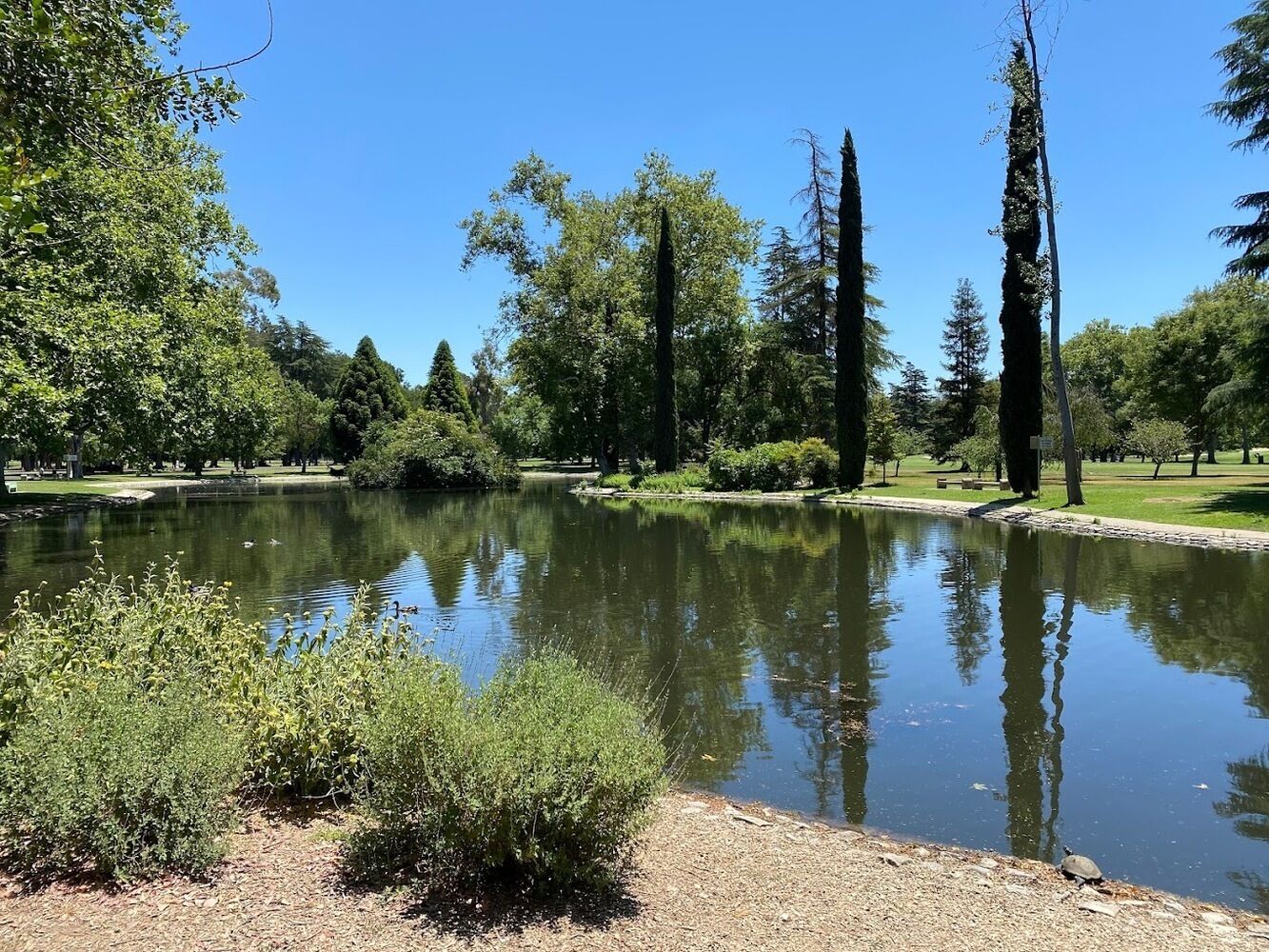 Un parque tranquilo con un estanque, rodeado de árboles y un camino de grava.