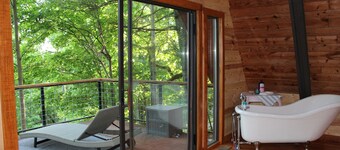 Private mountain cabin surrounded by Nat'l Forest! Visit wineries, hike the AT!