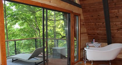 Private mountain cabin surrounded by Nat'l Forest! Visit wineries, hike the AT!