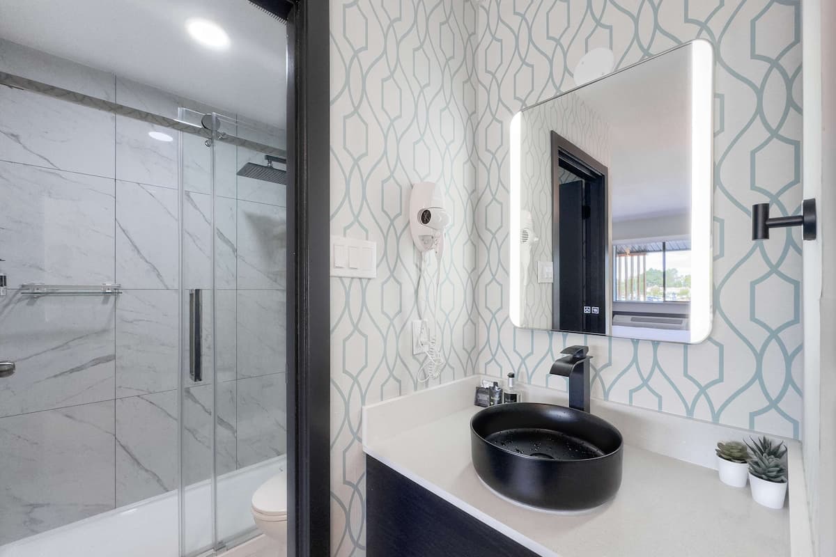 shower, rainfall showerhead, free toiletries, hair dryer