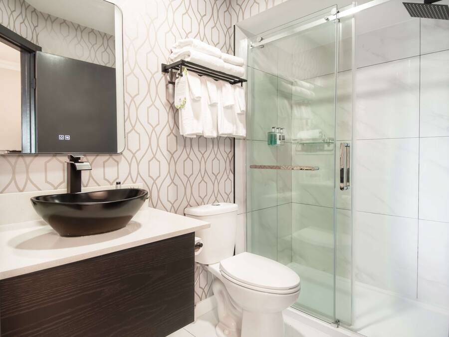 A modern bathroom with a black vessel sink, white toilet, and a glass-enclosed shower.