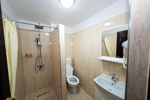 Une salle de bain avec douche, toilettes et lavabo.