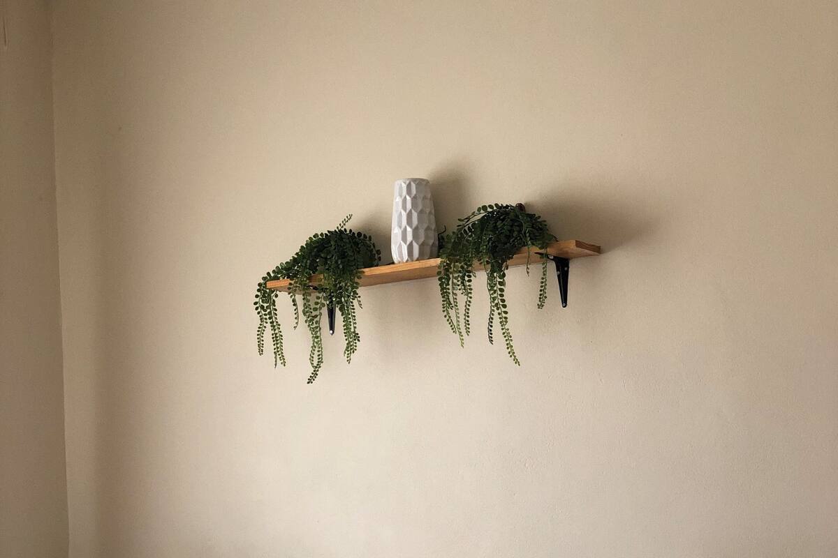 A hotel room with two beds, a bedside table with a lamp, a shelf with plants, and a towel on the bed.