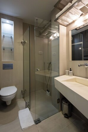 A modern bathroom with a glass-enclosed shower, a toilet, a sink, and a mirror.