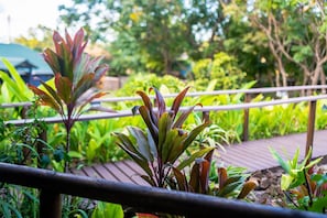 A garden area with various plants and a wooden pathway.