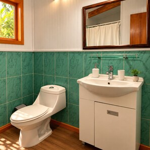A bathroom with a toilet, sink, and mirror. - Comfortable and equipped cabin (Isla de Pascua)