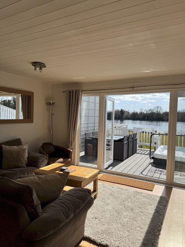 Télévision, cheminée, lecteur de DVD, livres