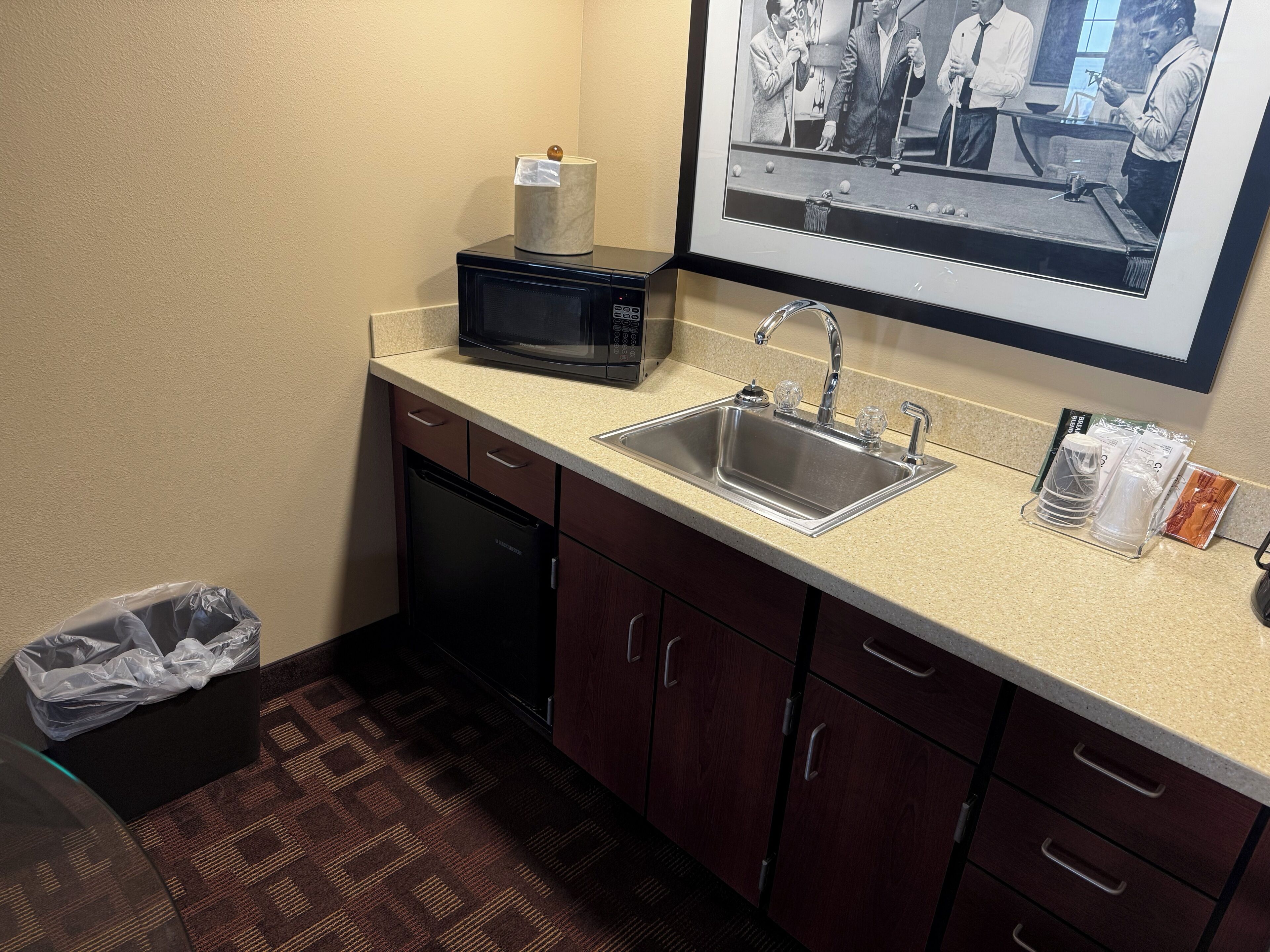 A compact kitchen with a microwave, sink, and a framed photo above the sink.