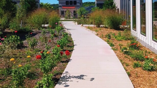 A pathway leading to modern houses with large windows, surrounded by landscaped gardens with various plants and flowers. - Bluffside Gardens (Decorah)