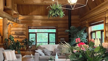 TV, fireplace, books