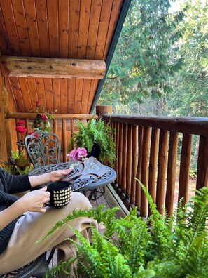 Property grounds - Airy Log Cabin (Mission)