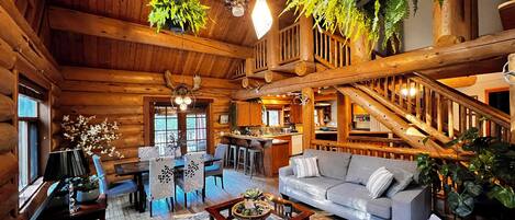 TV, fireplace, books