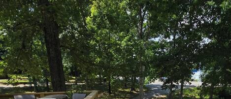 テラス / パティオ