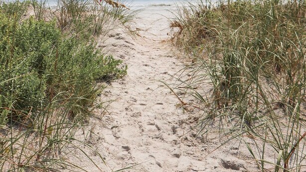 Um caminho de areia que leva ao oceano, com vegetação rala de ambos os lados.