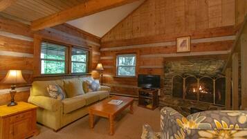 Télévision, cheminée, lecteur de DVD, table de tennis de table