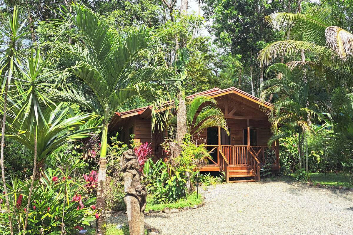 Uma cabana de madeira cercada por vegetação tropical exuberante.
