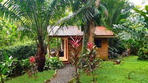 A wooden cabin with a thatched roof, surrounded by lush greenery and a gravel path leading to it. - Cabinas Costa Tropicana (Bahía Ballena)