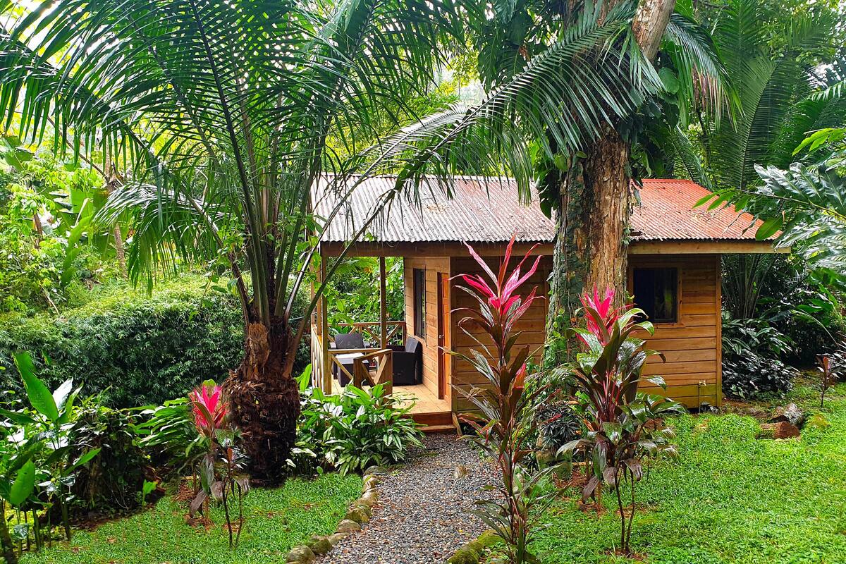 Uma cabana de madeira com telhado de palha, rodeada por vegetação exuberante e um caminho de cascalho que a leva.