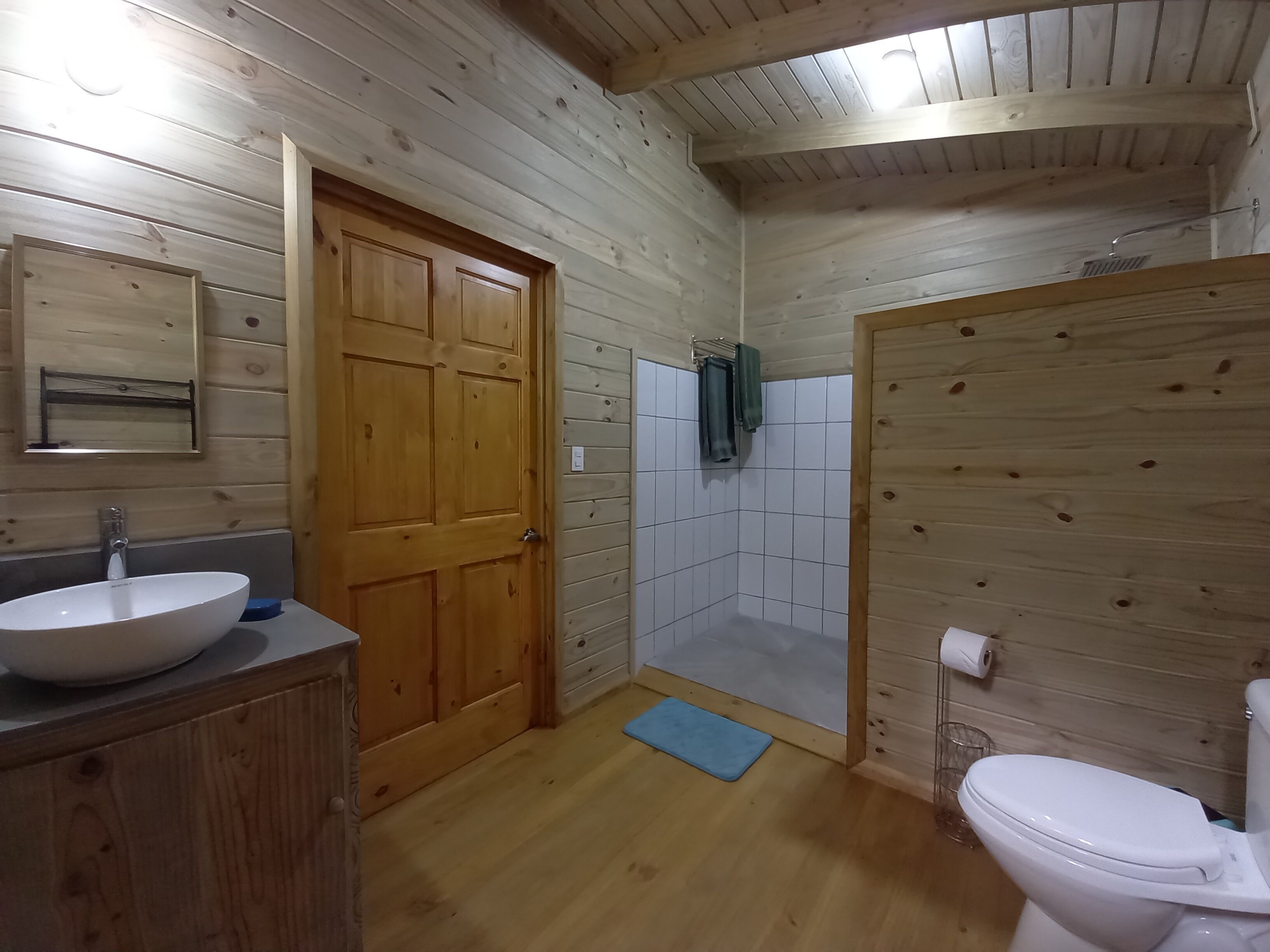 Baño de cabaña de madera con lavamanos, inodoro y ducha.