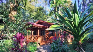 A wooden cabin surrounded by lush greenery and tropical plants. - Cabinas Costa Tropicana (Bahía Ballena)