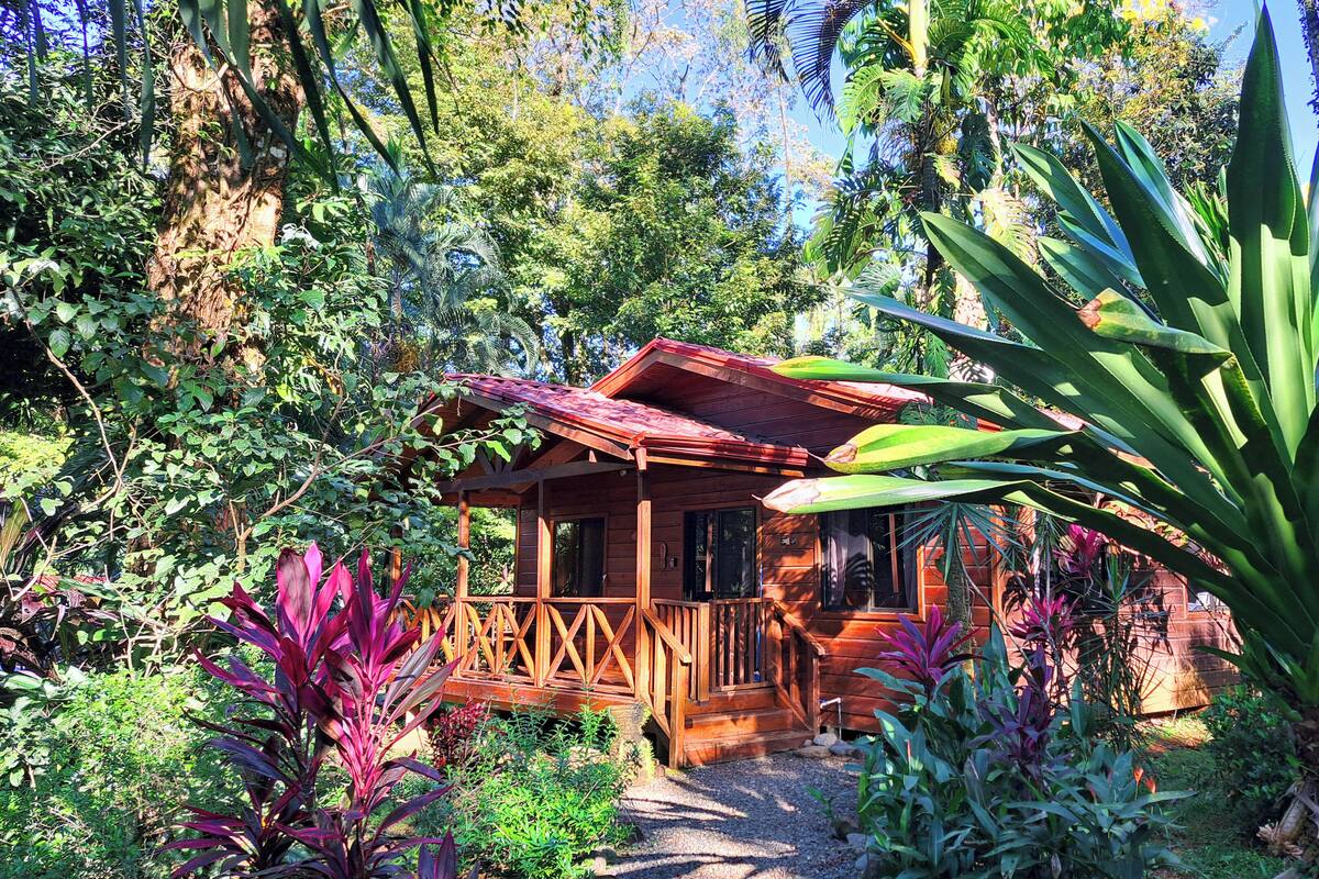 Uma cabana de madeira rodeada por vegetação exuberante e plantas tropicais.