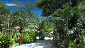 A garden pathway surrounded by various tropical plants and a stone statue. - Cabinas Costa Tropicana (Bahía Ballena)