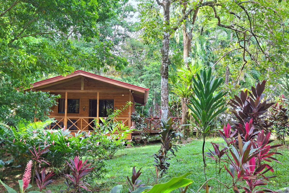Uma cabana de madeira rodeada por vegetação exuberante e diversas plantas.