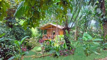 Una cabaña de madera rodeada de abundante vegetación y diversas plantas.