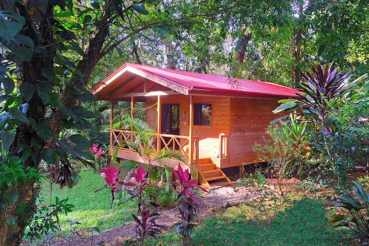 Uma cabana de madeira com telhado vermelho, rodeada por vegetação exuberante e plantas tropicais.