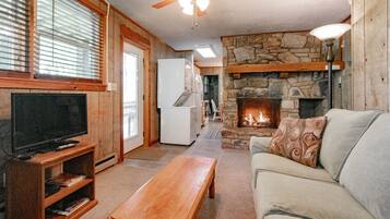 Télévision, cheminée, lecteur de DVD, table de tennis de table