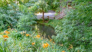 A serene garden with a pond, surrounded by lush greenery and vibrant flowers.