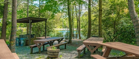 A picnic area with wooden benches and tables, surrounded by trees and a view of a lake.