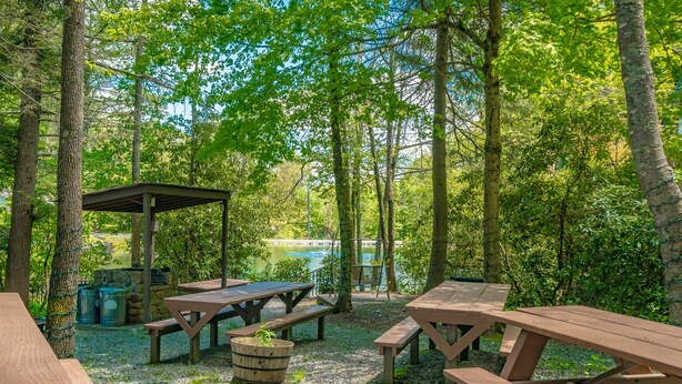 Un espace pique-nique équipé de bancs et de tables en bois, entouré d’arbres et offrant une vue sur un lac.