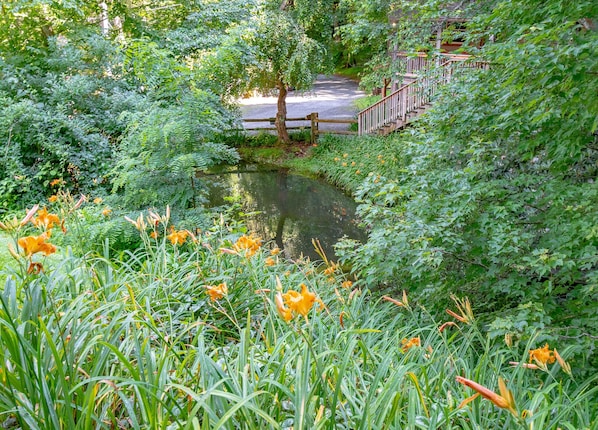 A serene garden with a pond, lush greenery, and a wooden bridge.