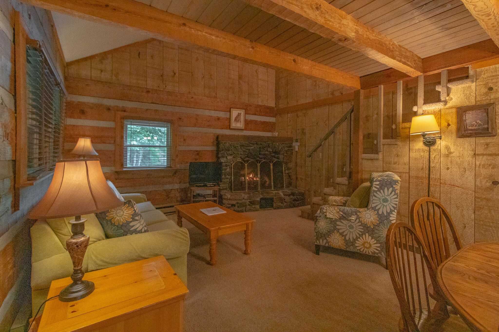 TV, fireplace, DVD player, table tennis