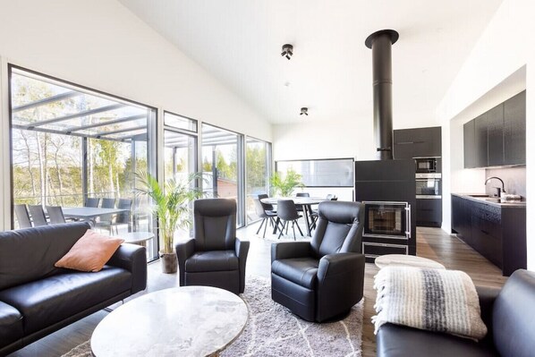 TV, fireplace, ping pong