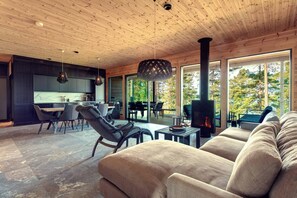 Smart TV, fireplace, stereo