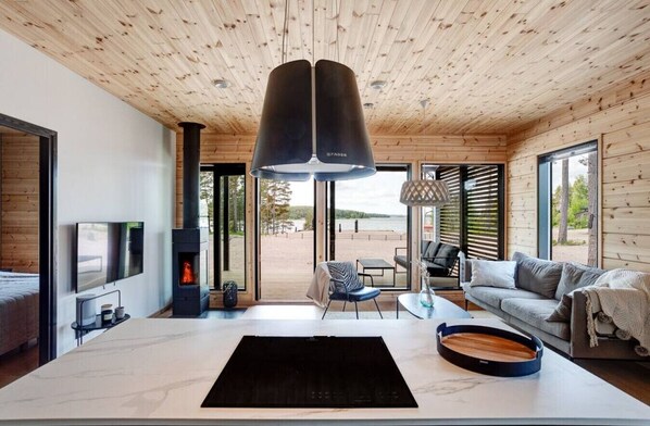 Smart TV, fireplace, stereo