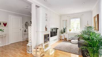 TV connectée, cheminée, livres, chaßne hi-fi